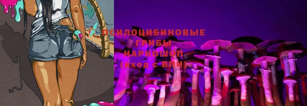 гидропоника Алексин