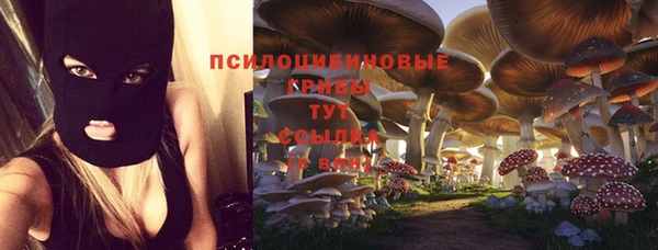 кокаин Алексеевка