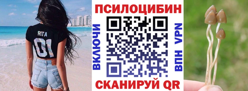 Галлюциногенные грибы MAGIC MUSHROOMS Богучар