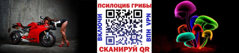Галлюциногенные грибы прущие грибы  Богучар 